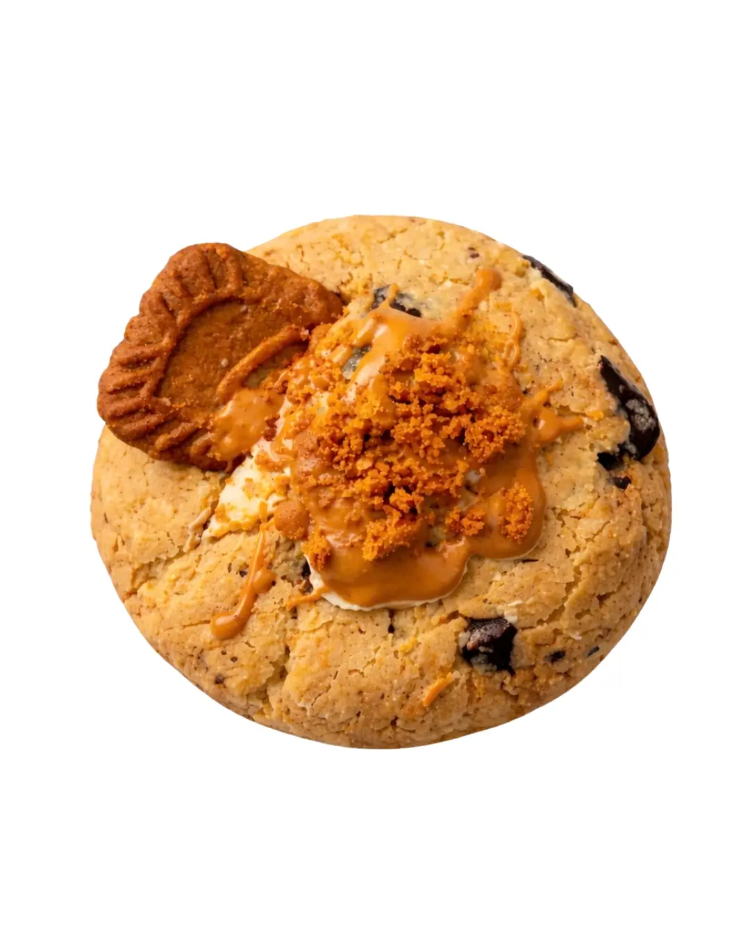 Biscoff Choco Chunk (100 gms)